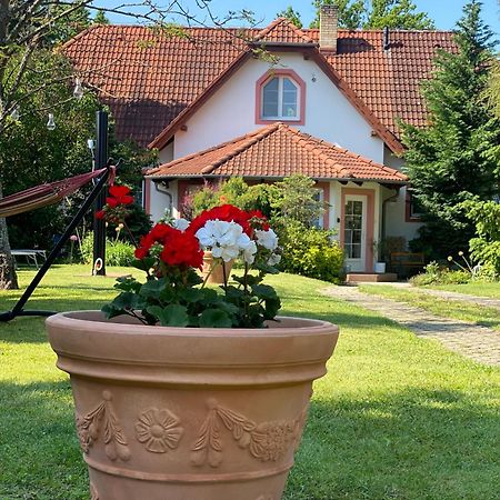 Vila Evio Třeboň المظهر الخارجي الصورة
