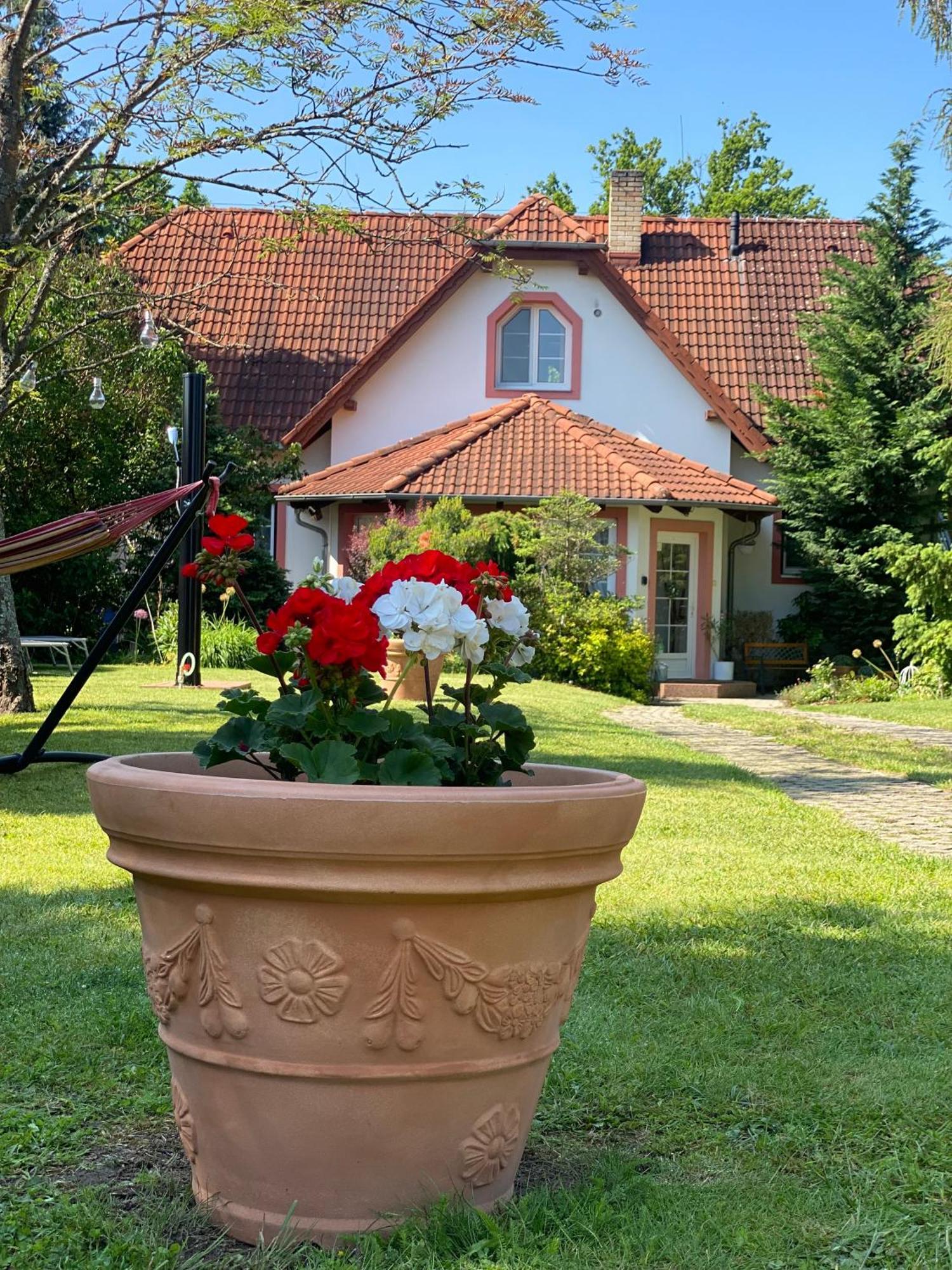 Vila Evio Třeboň المظهر الخارجي الصورة