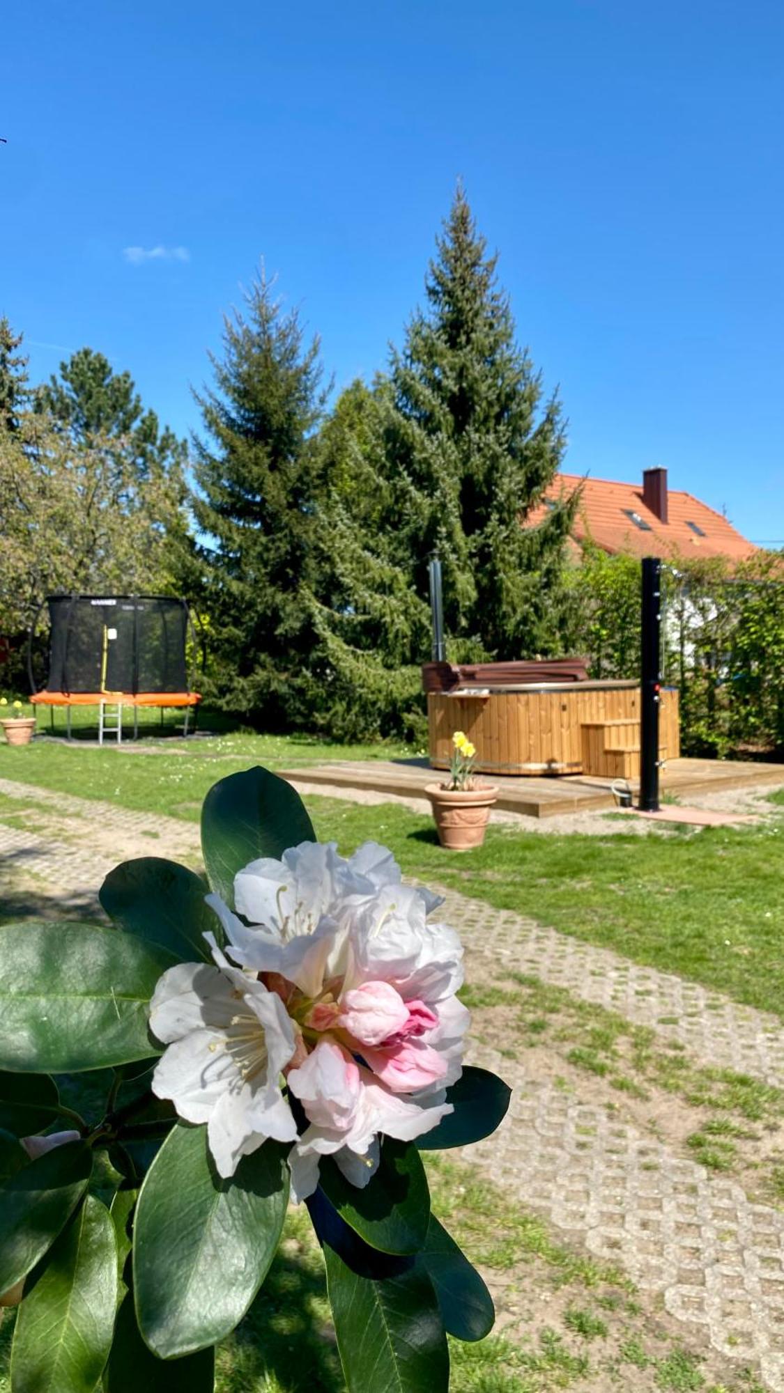 Vila Evio Třeboň المظهر الخارجي الصورة